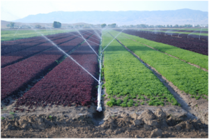 agriculture pipe in farmland