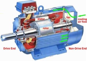 electric motor