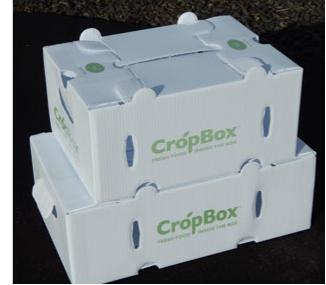 Returnable plastic corrugated packaging 