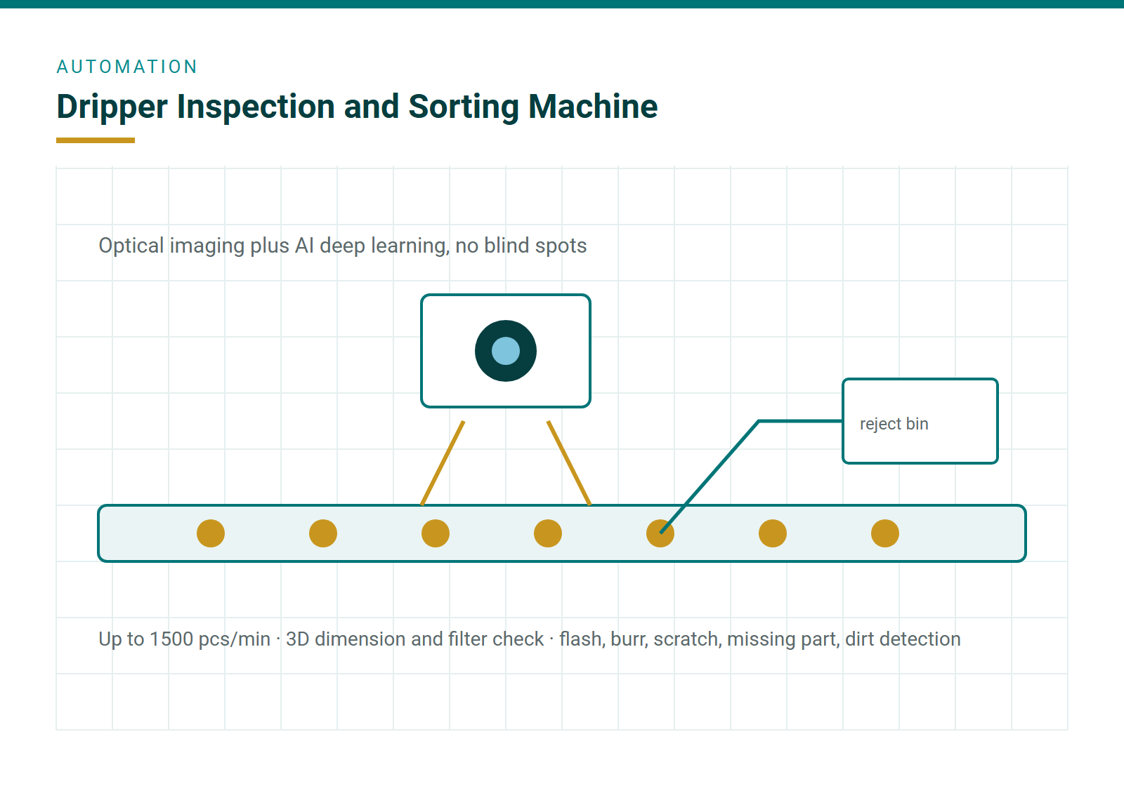 Camera, lighting and sorting section of the inspection machine