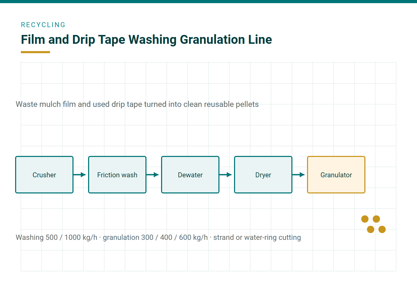 Crusher, friction washer, dewatering, dryer and granulator in line